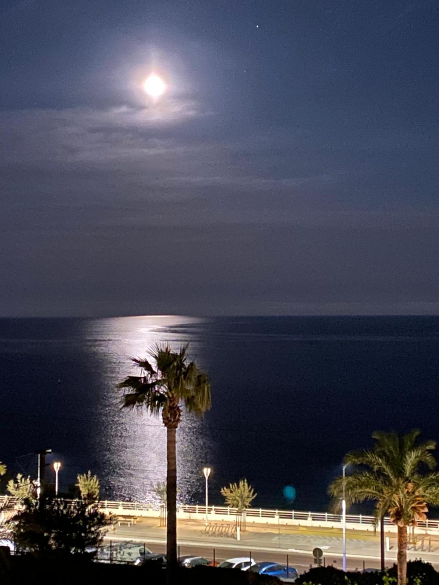 Bord De Mer, Terrasse, Tout A Pieds Cannes Exteriör bild